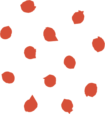 decoration image